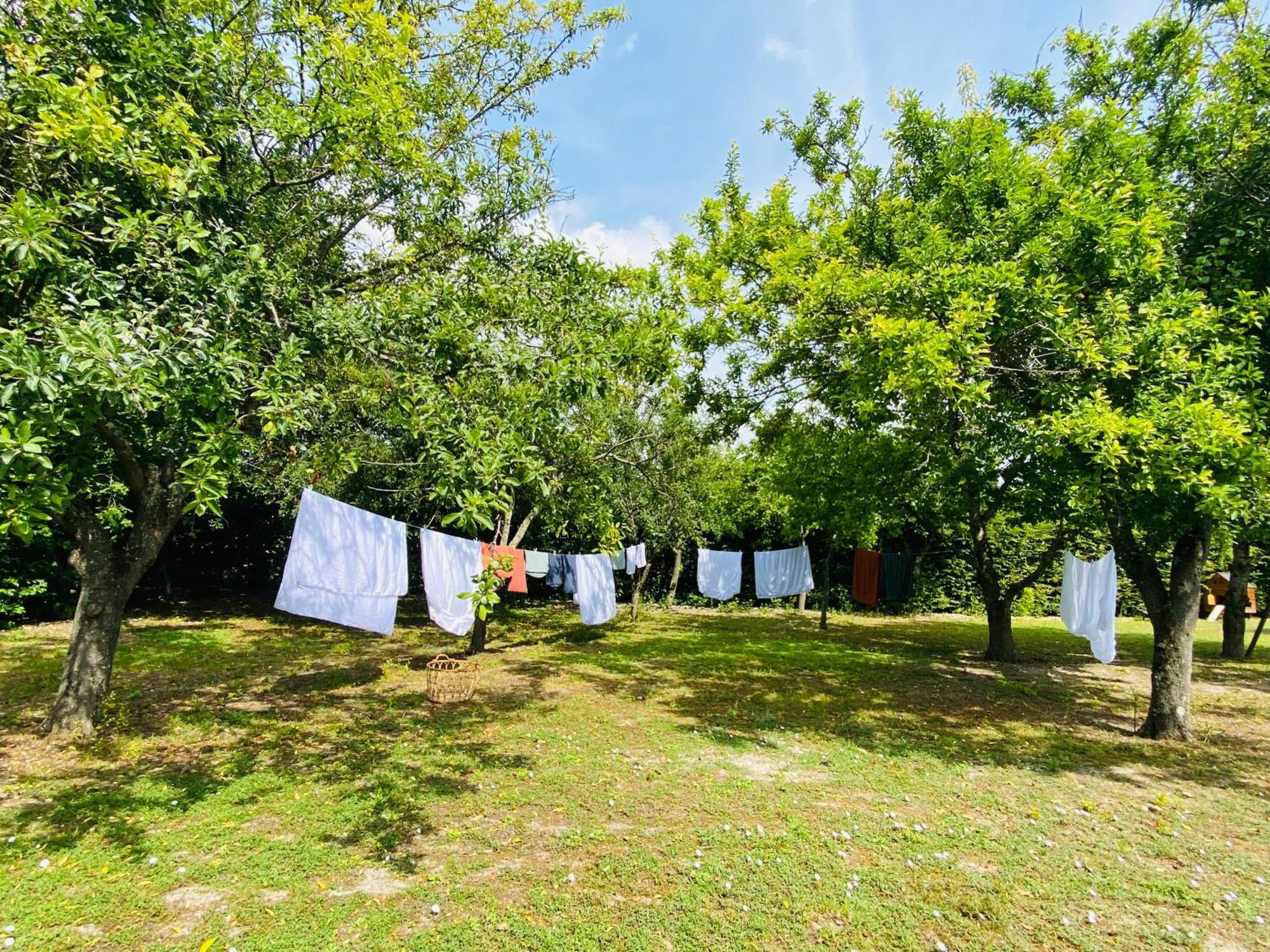 L'Ecrin De Verdure Ligré Exterior foto