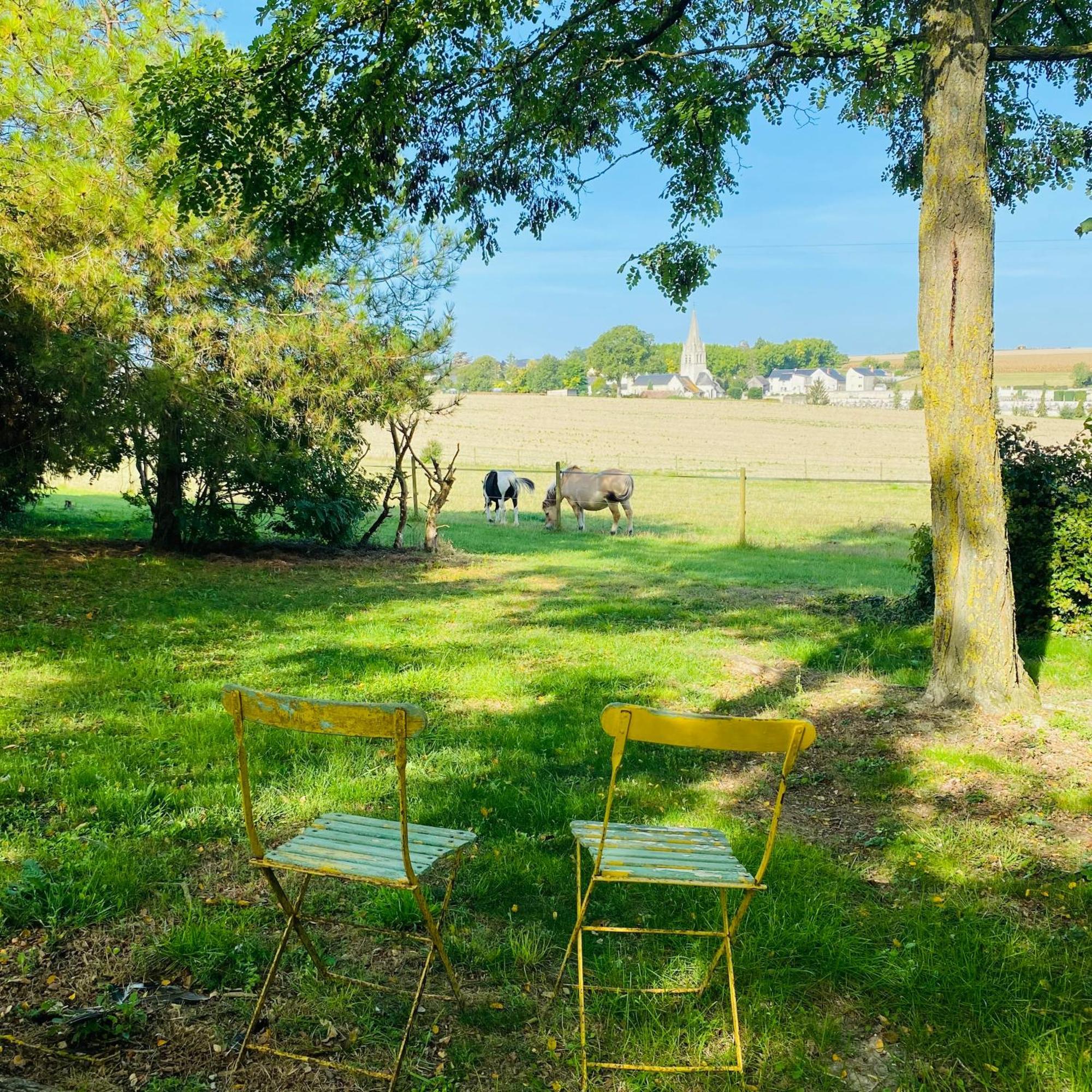 L'Ecrin De Verdure Ligré Exterior foto